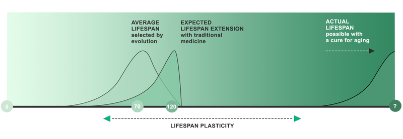 Illustration for article titled Are Limited Lifespans An Evolutionary Adaptation?